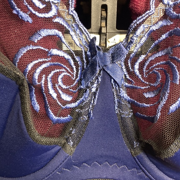 NWOT 70 K Poland bra. (Non USA sizes are different. Check sizing guide) - Picture 7 of 11